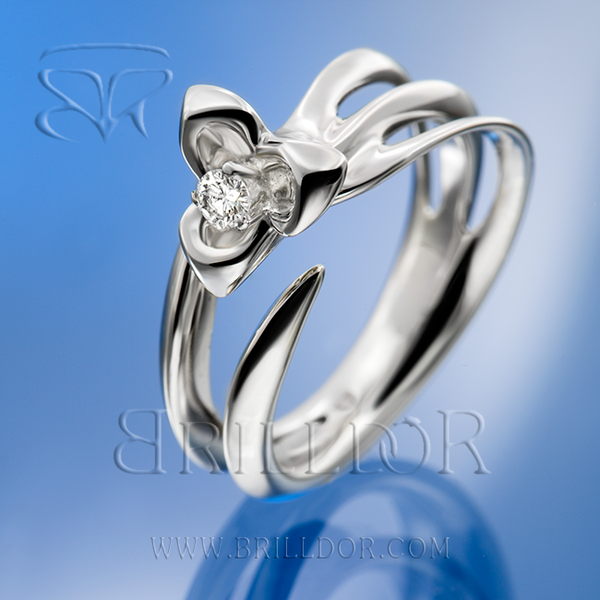 Wortex D ring