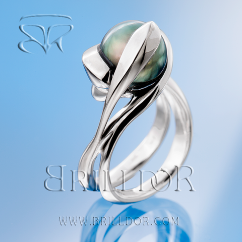 Whirlpool LD ring