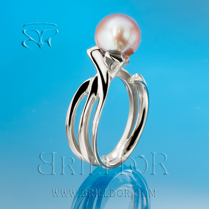 Whirlpool Twist R ring