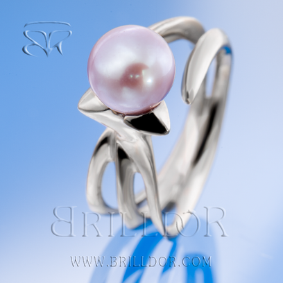 Whirlpool Twist R ring