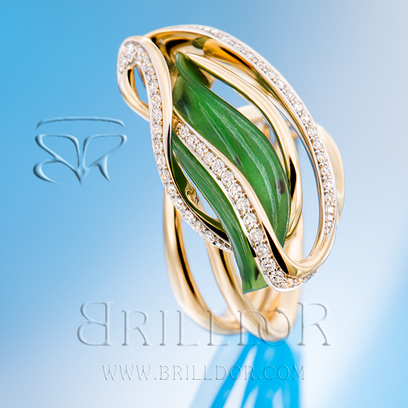 Amazonas ring