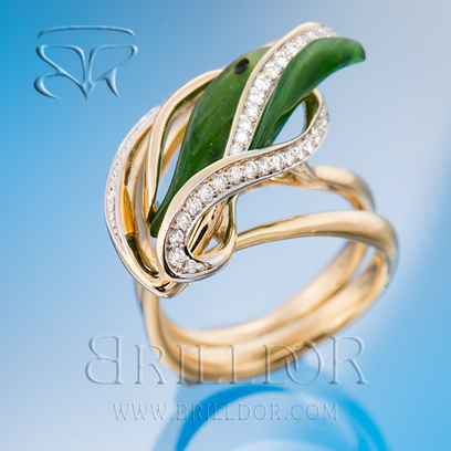 Amazonas ring