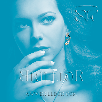 Angels Wing earrings