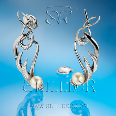 Angels Wing earrings