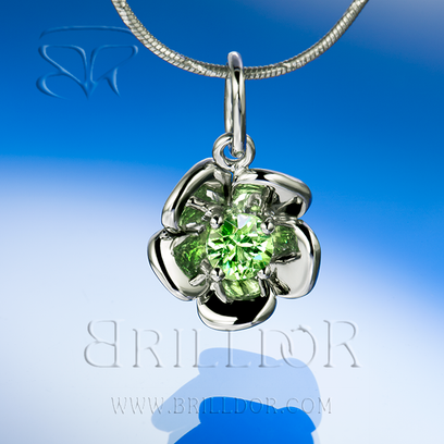 Bellis Perennis G set