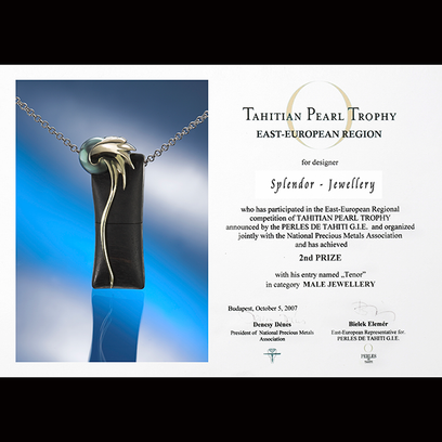 Tenor pendrive pendant