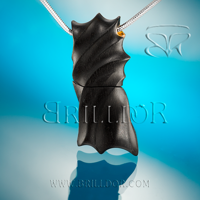 Fossil pendrive pendant