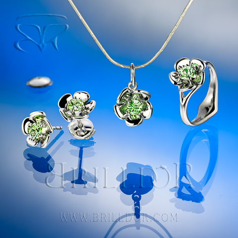 Bellis Perennis G set